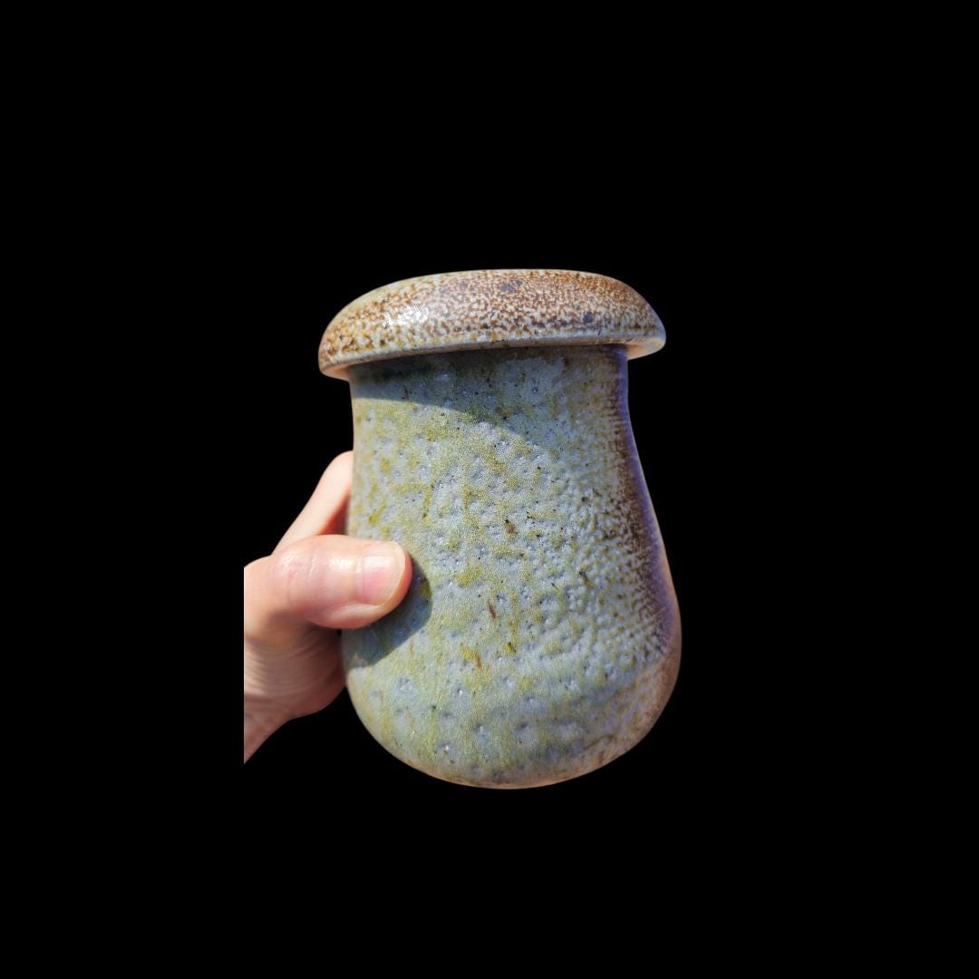 Handmade Soda Fired Ceramic Lidded Jar: Mushroom Design, Minimalist Art Pottery, Stoneware (5" x 4")
