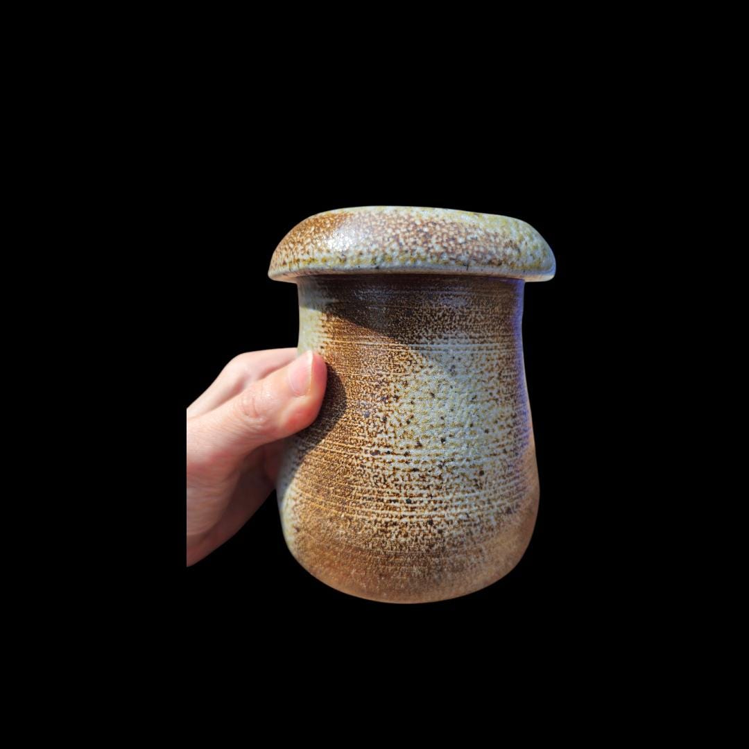 Handmade Soda Fired Ceramic Lidded Jar: Mushroom Design, Minimalist Art Pottery, Stoneware (5" x 4")
