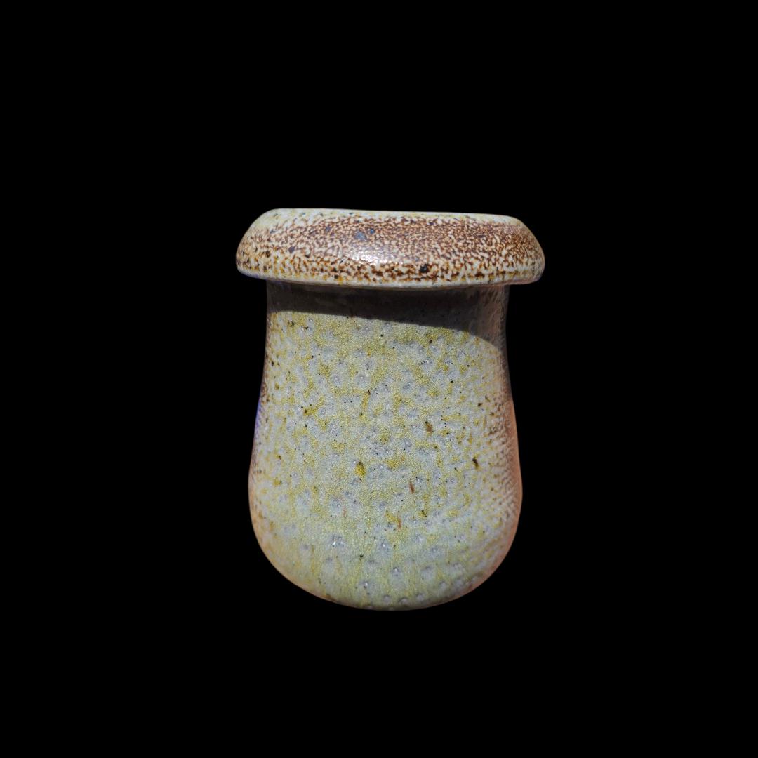 Handmade Soda Fired Ceramic Lidded Jar: Mushroom Design, Minimalist Art Pottery, Stoneware (5" x 4")