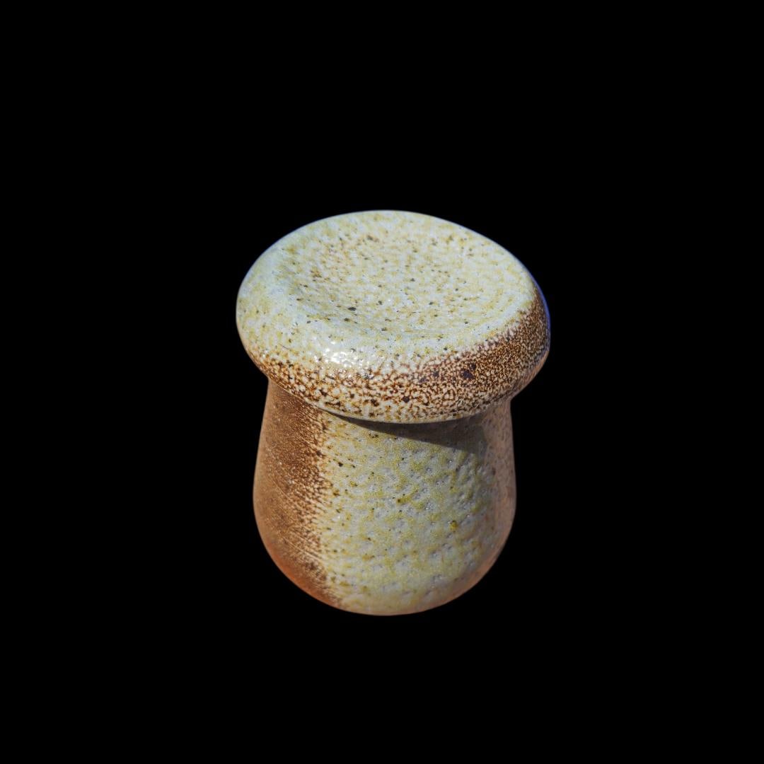 Handmade Soda Fired Ceramic Lidded Jar: Mushroom Design, Minimalist Art Pottery, Stoneware (5" x 4")