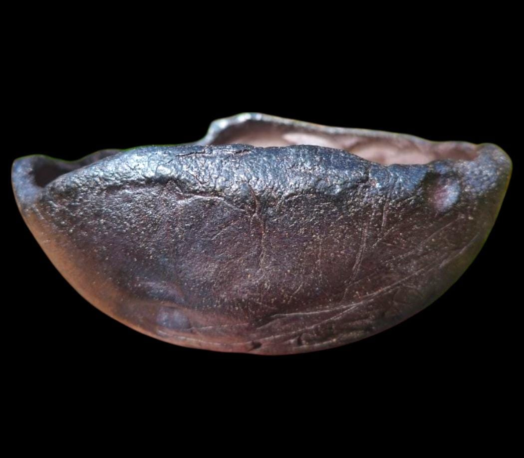 Handmade Soda Fired Sculptural Bowl 9" x 4" Black Lava centerpiece ceramic Art